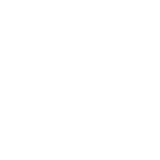 OUR VISION