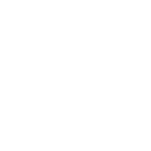 Customer Satisfaction